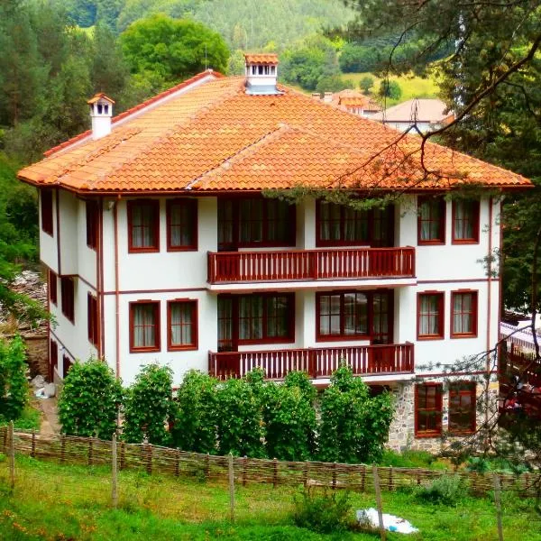 Hotel Mitnitsa and TKZS Biliantsi, hotel in Arda