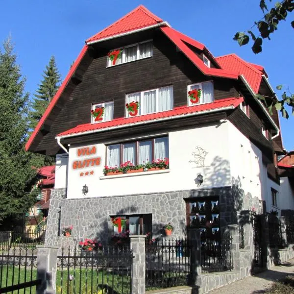 Villa Elitte Predeal, hotel v destinaci Predeal