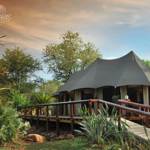 Karongwe Portfolio - Chisomo Safari Camp, hotel Makalali Game Reserve városában