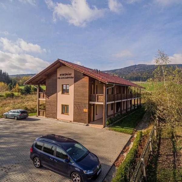 Apartmány Pod Sjezdovkou, hotel v destinaci Červená Voda