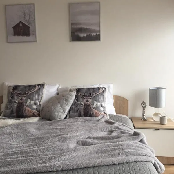 PIĘKNE MIEJSCA apartament z widokiem na góry - APARTZAKOP, viešbutis mieste Kościelisko