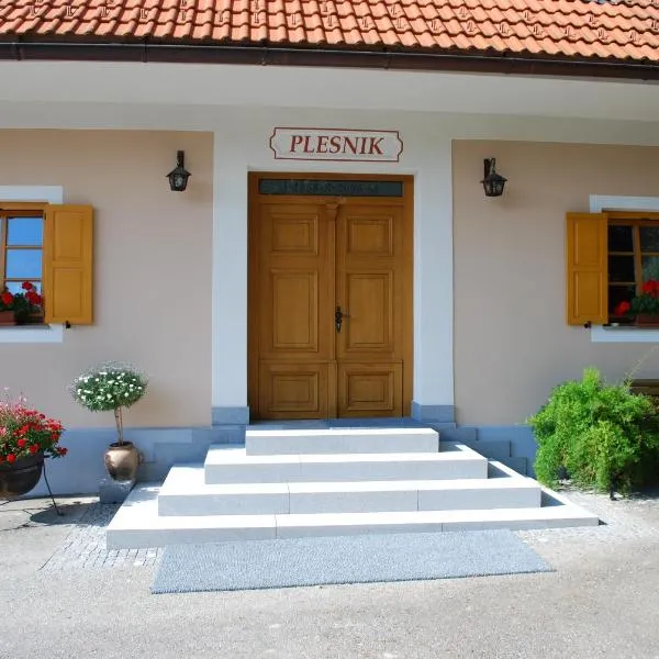 Farm Stay Rotovnik - Plesnik, hôtel à Slovenj Gradec