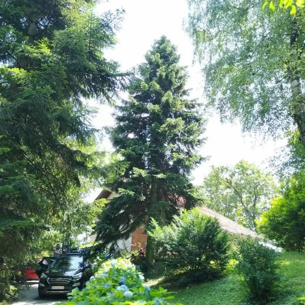 Old Chestnut Vacation Home, hotel in Jalžabet