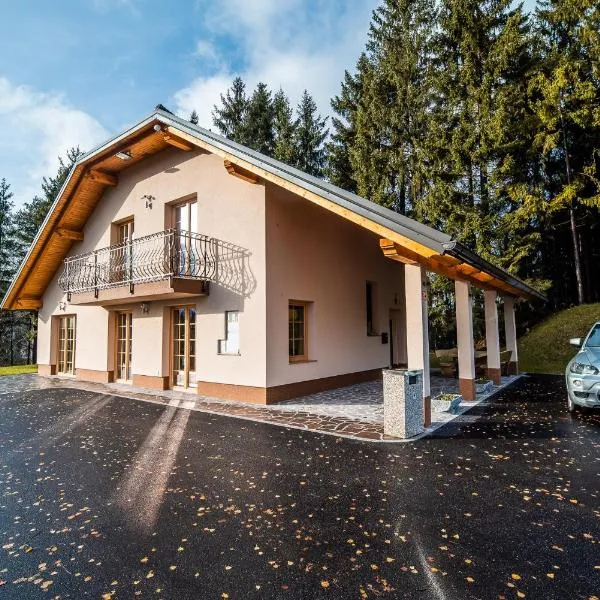 Holiday Home with Hot tub and Sauna Sabina, hotel in Hlevni Vrh