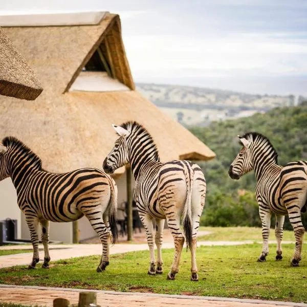 Jbay Zebra Lodge, hotel in Thornhill