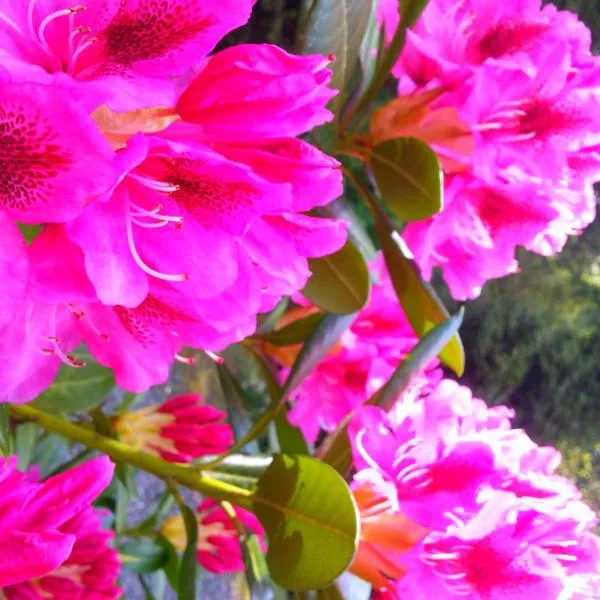 Holiday Inn Express and Suites Surrey by IHG, hotel em Surrey