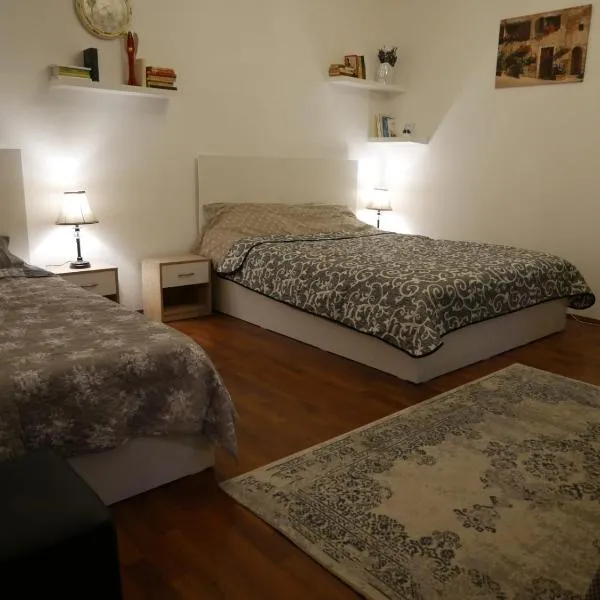 Jolie Place Old Town, khách sạn ở Timişoara