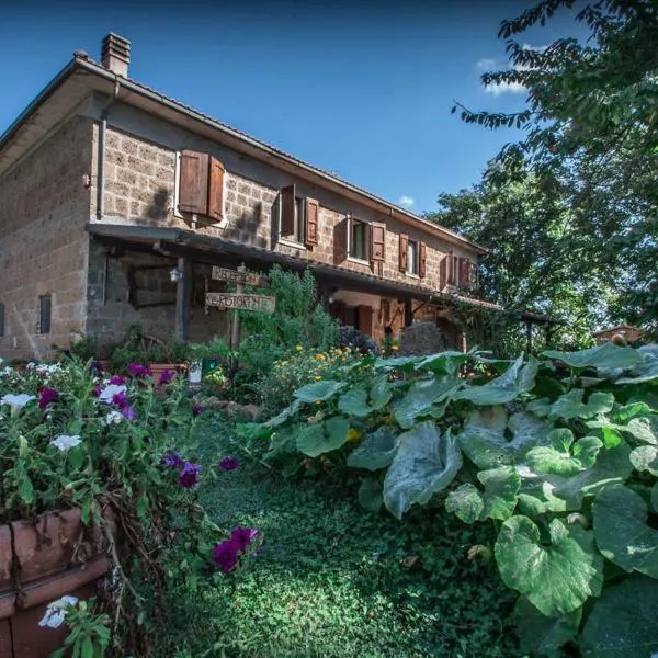 Bio Agriturismo Aia del Tufo, hotel in CastellʼOttieri