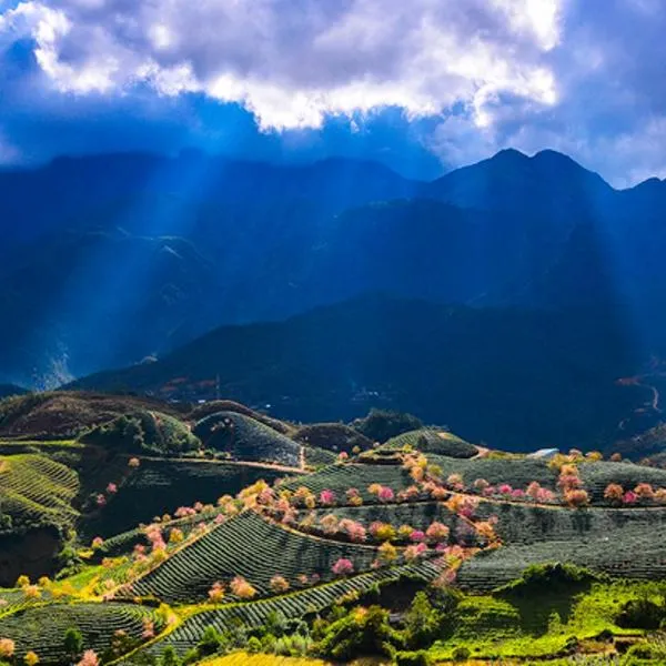 Sapa Dao Homestay, hotel in Sa Pa