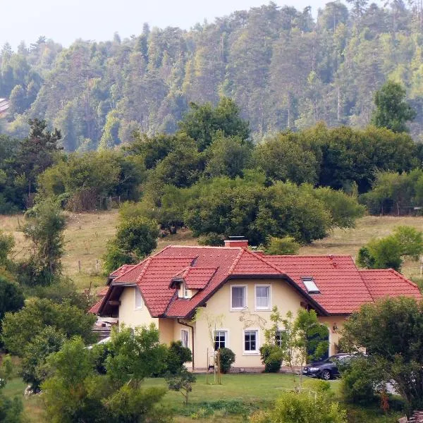 Bed and Breakfast Trnje, hotel in Knežak