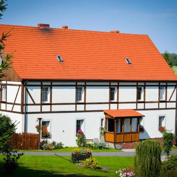 Dom Nad Potokiem, hotel in Kłopotnica