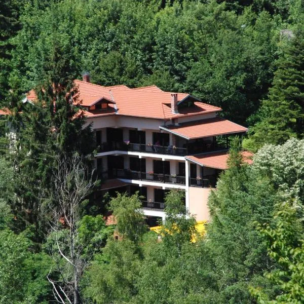 Family Hotel Ilinden, hotel in Golets