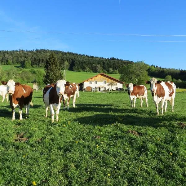 La ferme du bonheur, hotel in Sancey-le-Long