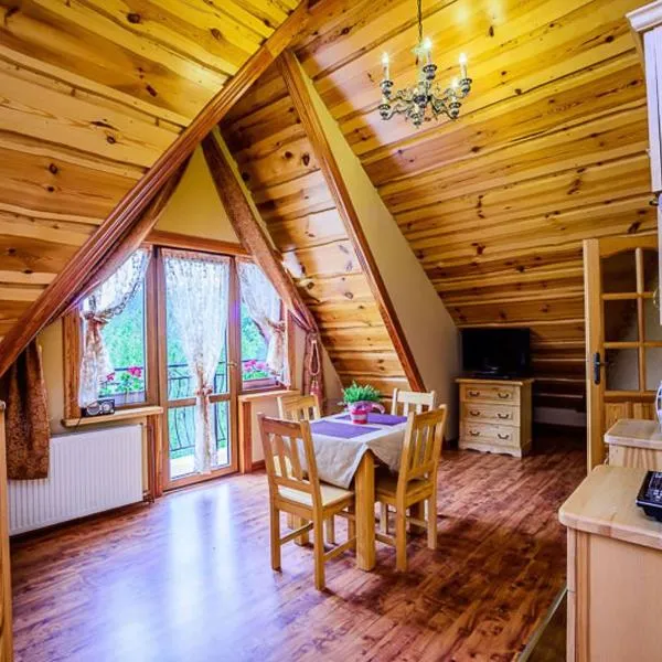 WILLA WIDOKOWA Apartamenty & Pokoje z widokiem na góry, hotel in Szczawnica