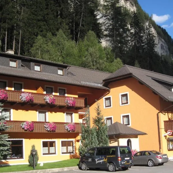 Hotel Twengerhof, hotel in Begöriach