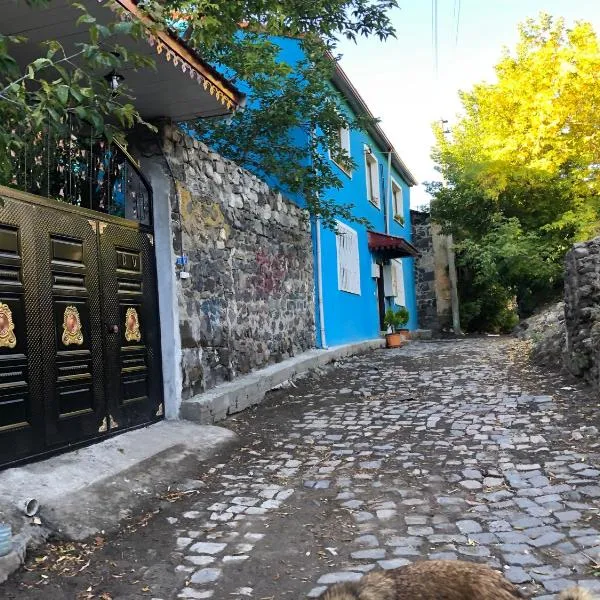 Mavi Ladin Konukevi, hotel in Kars