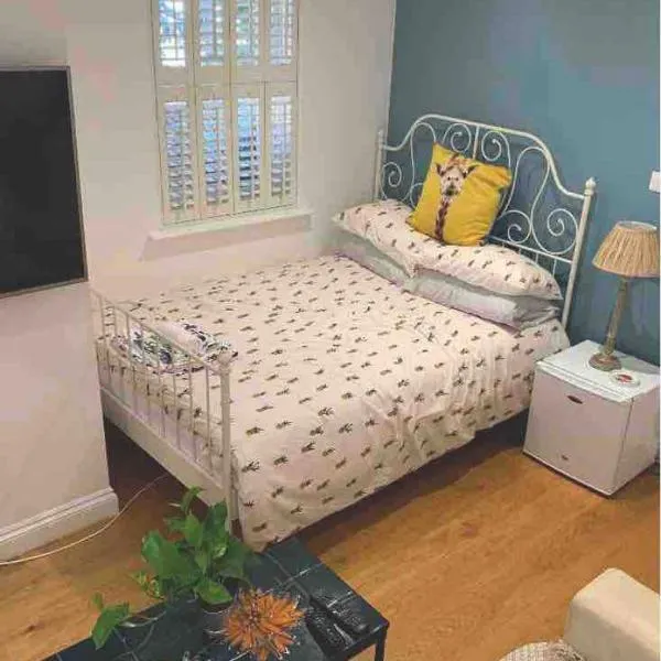 Stylish Modern Studio, Mock Georgian House, Heart of Trendy Hackney & London, hotel v Londonu