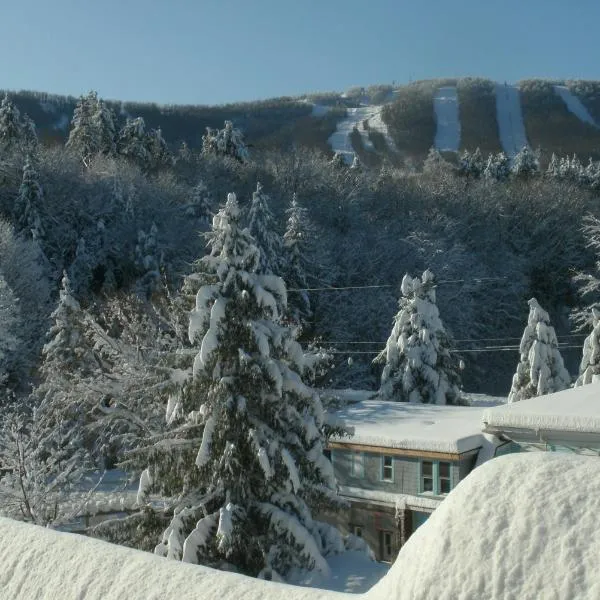 Townhouse W Private Deck & Mt View, hotel v destinaci Windham