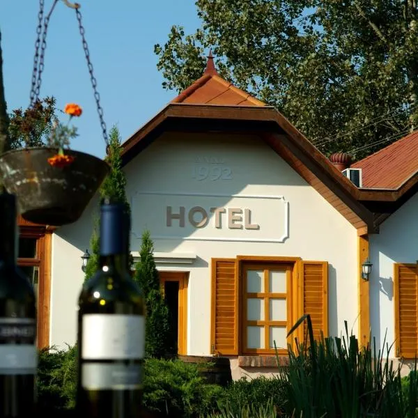 Hotel Vineyard Inn - Szőlőskert, hotel in Nagykanizsa