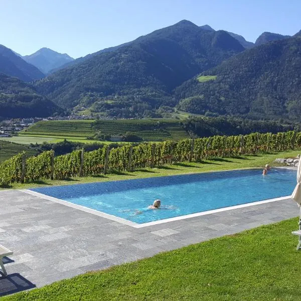Hotel Pacherhof, hotel in Bressanone