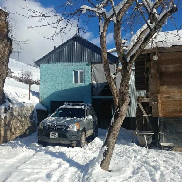 Guest House Luka, отель в городе Danisparauli