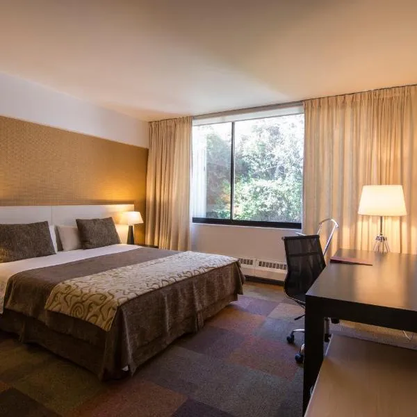 Hotel Alborada, hotel in Concepción