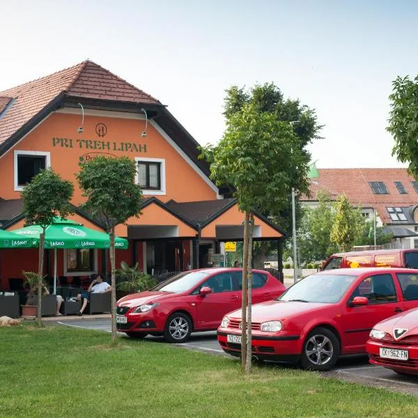 Guest House Pri Treh Lipah, hotel v destinaci Ptuj