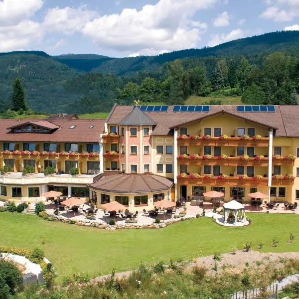 Kristall- & Vitalhotel Bergknappenhof, hotel in Regenhütte