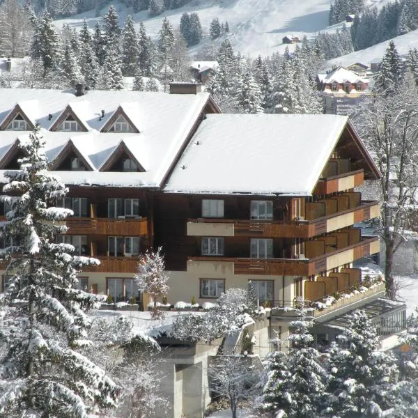 아델보덴에 위치한 호텔 Hotel Steinmattli