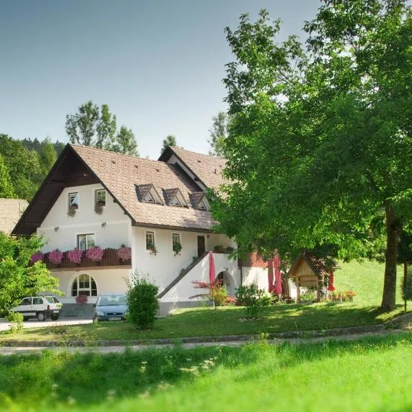 B&B Na Kluk, hotel v destinaci Idrija