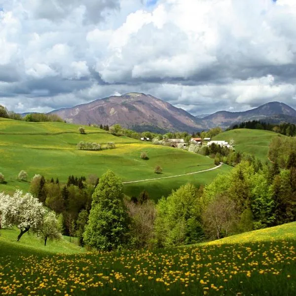 Tourist Farm Ljubica, hotel di Gorenja Vas