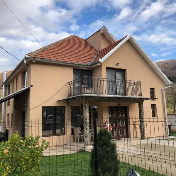 Casa Larisa, hotel v destinaci Chişcău