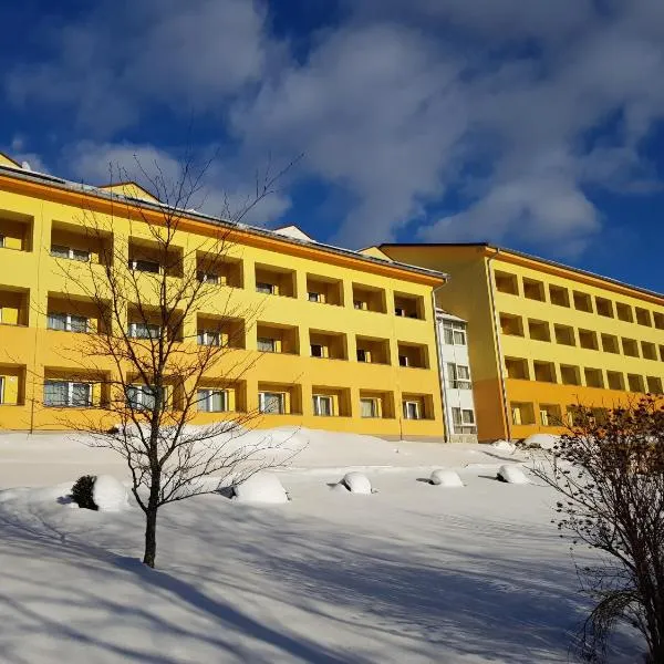Lipno-Frymburk Wellnes APT D 103, hotel in Frymburk