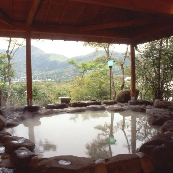 Senkyoro, hotel v destinaci Hakone