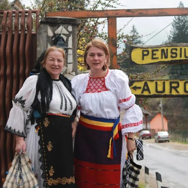 Pensiunea Aurora Albac, hotell i Vadu Moţilor