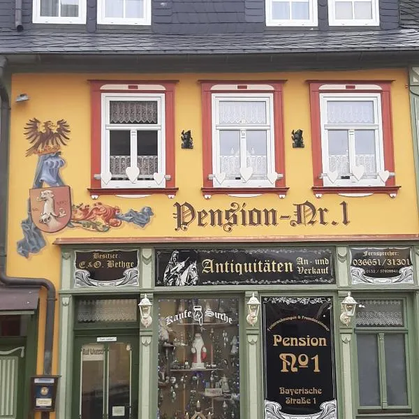 Pension Antik, hotel in Saalburg-Ebersdorf