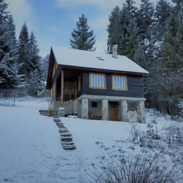 Chata FORESTINA, hotel in Vyšné Ružbachy