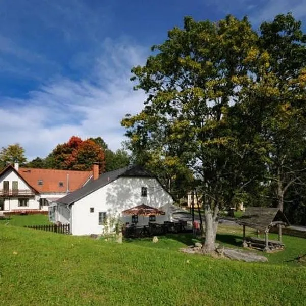 Tradiční hostinec, hotel ve Sněžné