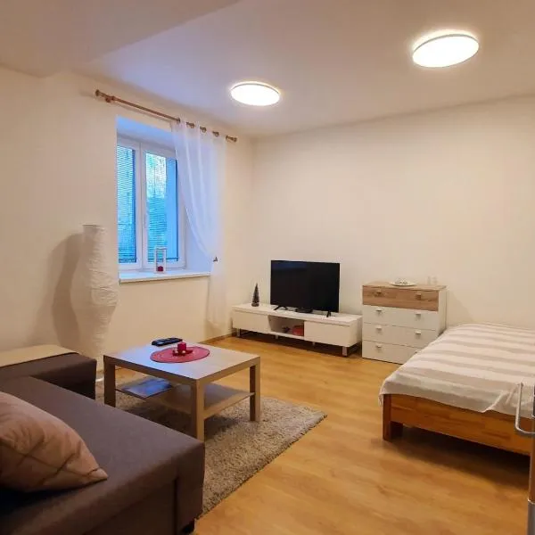 apartmán U Moravy, hotel in Olomouc