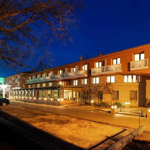 Hotel Pagony Wellness, hotel i Nyíregyháza