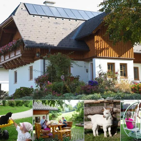 Hüttstädterhof Familie Pötsch, hotel v destinaci Aigen im Ennstal