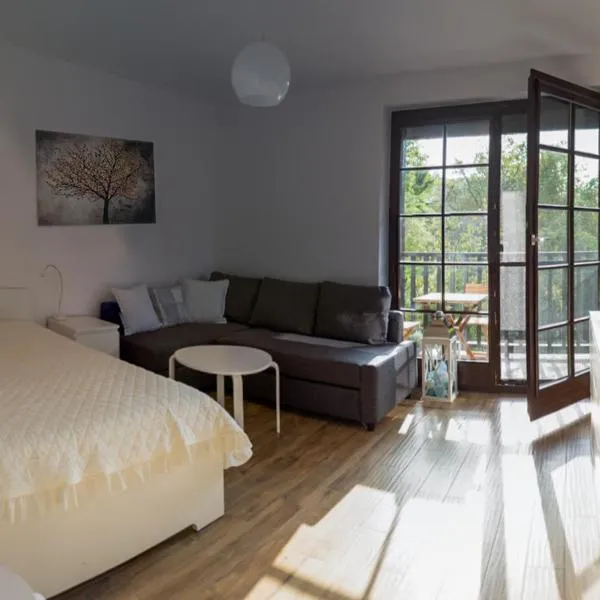 Apartament Kameralny, hotel in Kazimierz Dolny