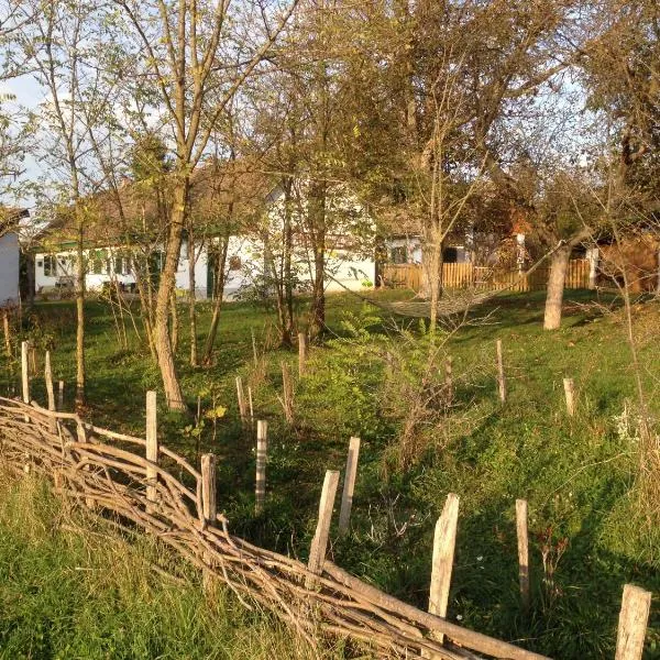 Erdősmecskei sváb vendégházak és Jurtaszállás, hotel in Erdősmecske
