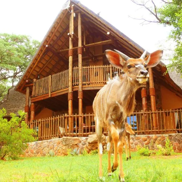 Kololo Game Reserve, hotel a Reserva natural de Welgevonden