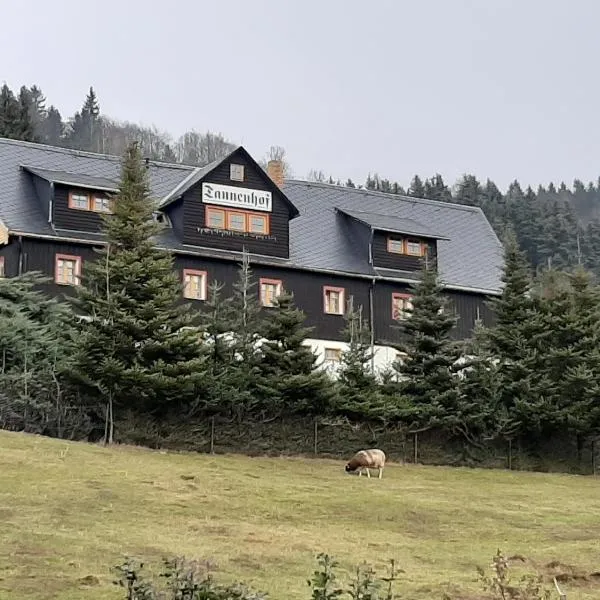 Pension Gaststätte Tannenhof, hotel i Saupsdorf