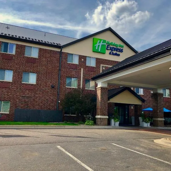 Holiday Inn Express Hotel & Suites St. Paul - Woodbury, an IHG Hotel, hotel in Oakdale