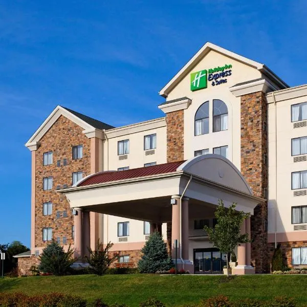 Holiday Inn Express Hotel & Suites Kingsport-Meadowview I-26 by IHG, hotel in Kingsport