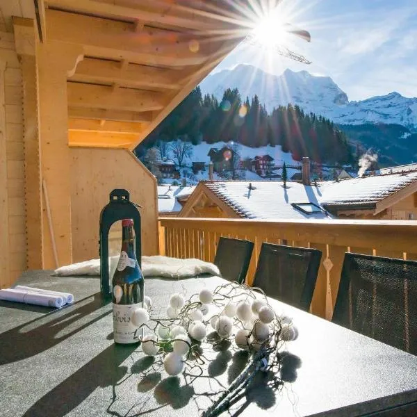 Panoramapark Soleil Chalet E, hotel in Wengen