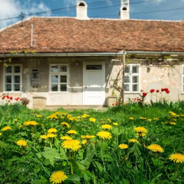 Gästehaus Fogarasch, hótel í Făgăraş