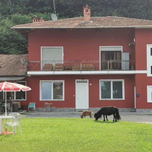 The Horse, hotell sihtkohas Pogno